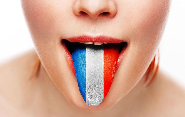 « Mon idée pour le français » une consultation publique mondiale